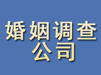 环县婚姻调查公司